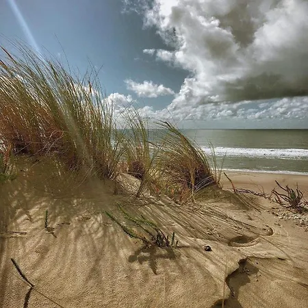 Les Bord'océanes Sauna&spa Marensine Et Oyat Villa *