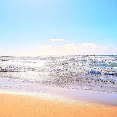 Vila Les Bord'oceanes Sauna & Marensine Et Oyat Vielle-Saint-Girons