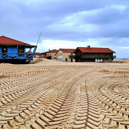Les Bord'océanes Sauna&spa Marensine Et Oyat * Vielle-Saint-Girons
