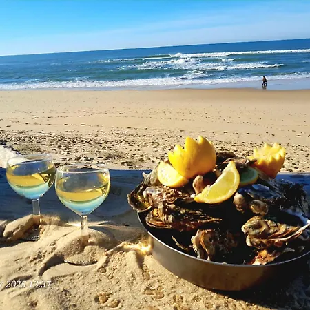 Les Bord'Oceanes Villa Marensine Piscine Sauna & Spa Privatifs - Villa Oyat Spa Privatif