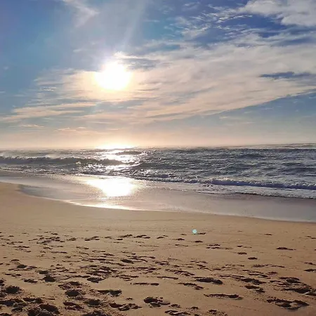 Villa Les Bord'océanes Sauna&spa Marensine Et Oyat