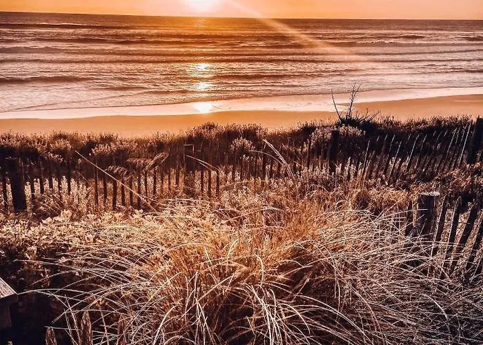 Les Bord'oceanes Sauna & Marensine Et Oyat * Vielle-Saint-Girons
